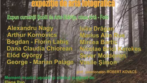 afisexpozitiescoaladeartebistritaredimensionat.jpg