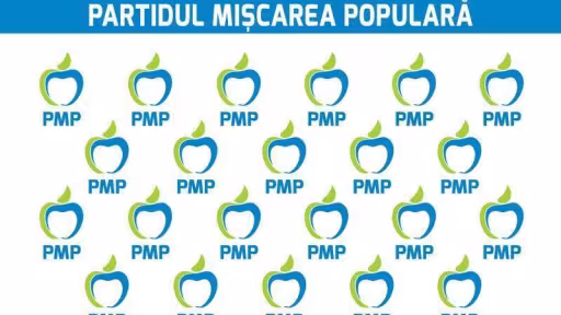 pmp.jpg