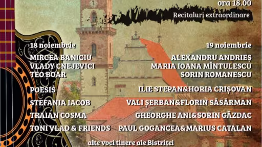 afisbistritafolk2016.jpg