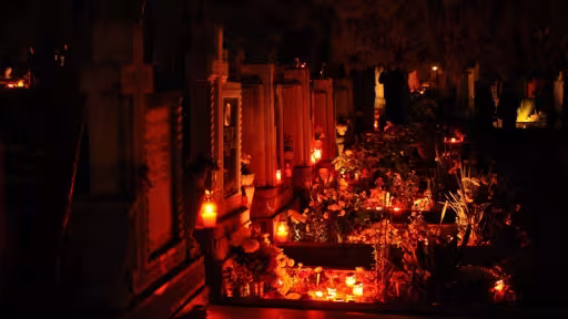 foto-dealuri-de-flori-si-luminazeci-de-mii-de-clujeni-au-continuat-traditia-luminatiei2.jpg