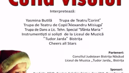 afis-cutia-visului-16.jpg