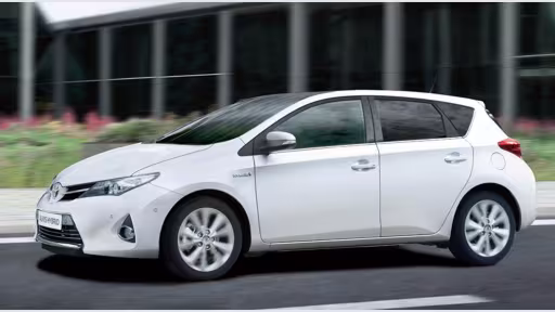 auris01.jpg