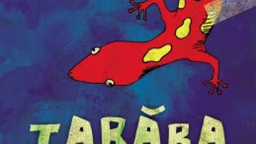 tabara1-pic.jpg