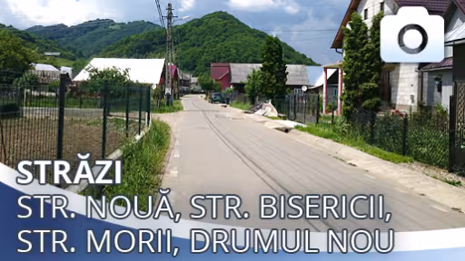 telciu.jpg