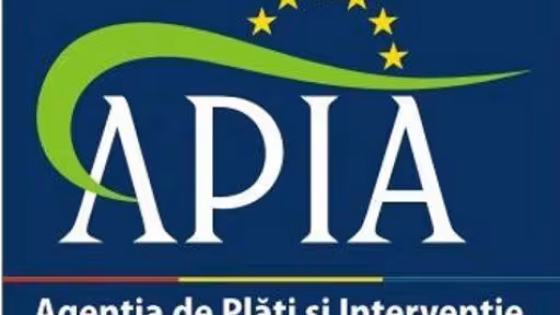 apia.jpg