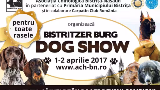 dog.jpg