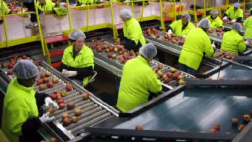 fruitsortingtwo1-300x169.jpg