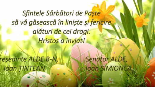 felicitarealdeb-n.jpg