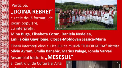 desimpetrularebra.jpg