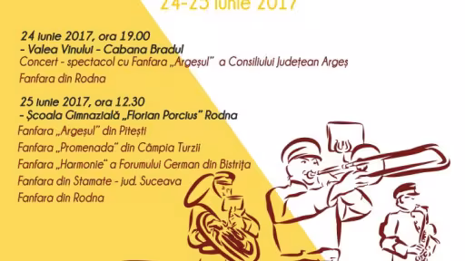 festivalulfanfarelorrodna.jpg