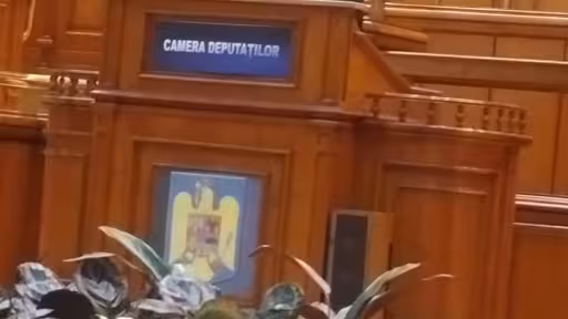 p1.jpg