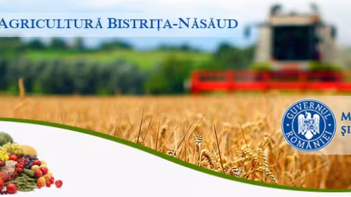 header.png
