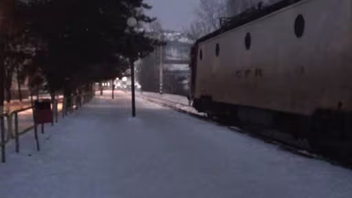 tren.jpg