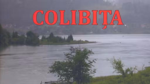 copertacolibita001.jpg
