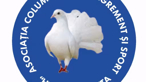 expo.jpg
