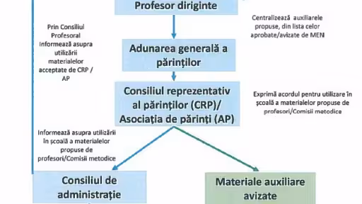 procedurautilizareauxiliare.jpg
