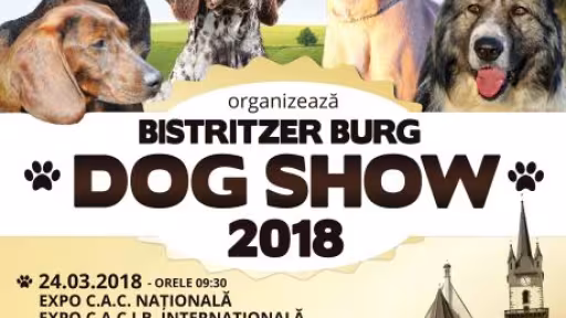 afisdogshow.jpg
