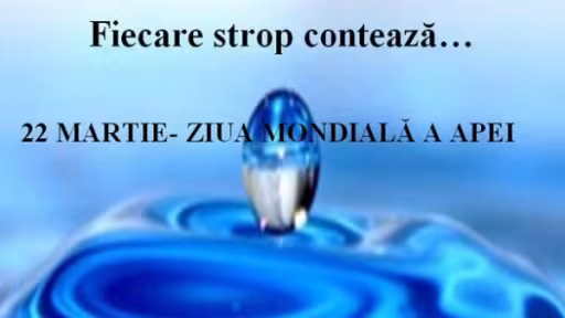 apa.jpg