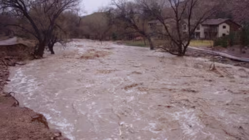 inundatii-rauri-800x500c.jpg