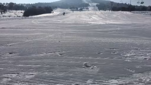 ski.jpg