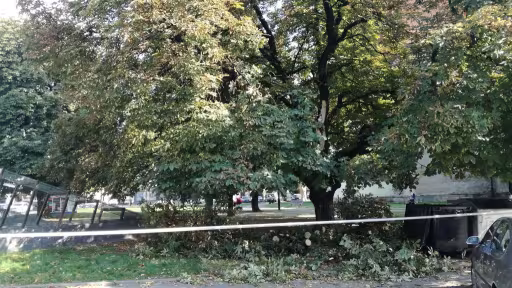 castantaiat-2.jpg
