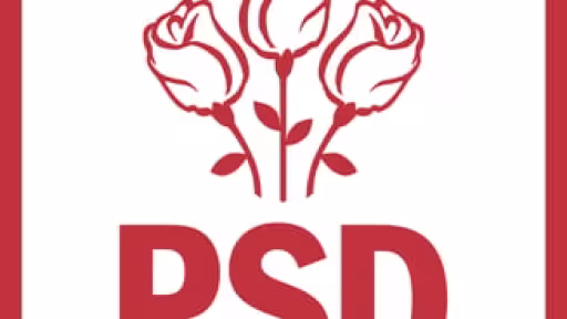 psd.jpg