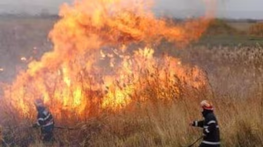 incendiu-vegetatie-uscata1.jpg