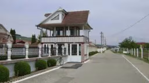 peni.jpg