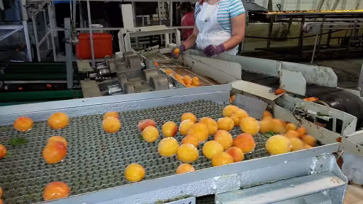 fructe.jpg