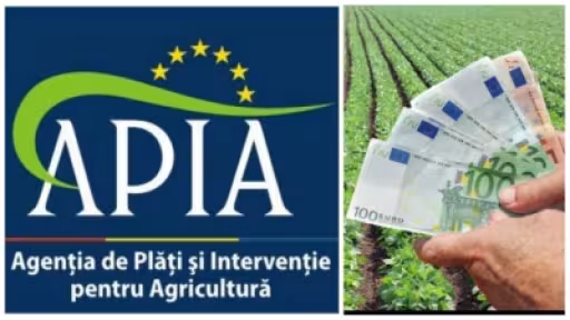 apia.jpg
