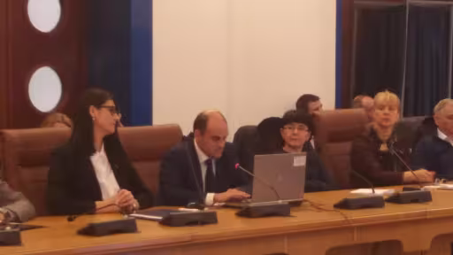 ili.jpg