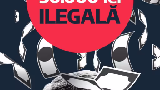 p1.jpg