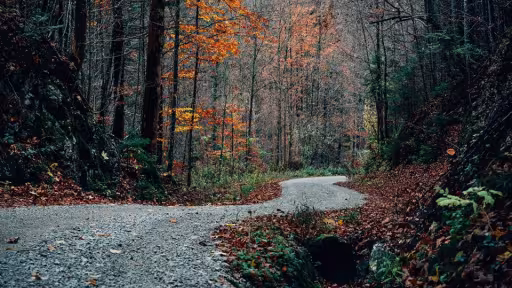 prund.jpg
