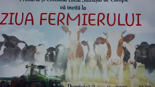sili.jpg