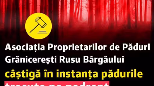 situatiaparurilorbirgauane.jpg