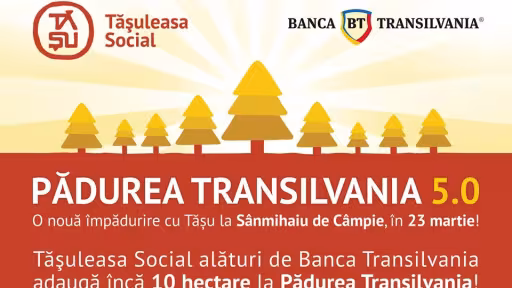 tas1.jpg