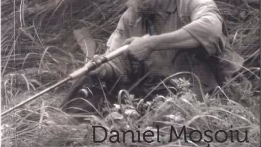 mosoiu.jpg