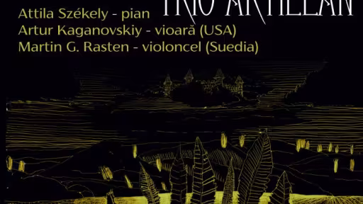 concert.jpg