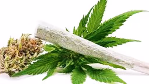cannabis.jpg
