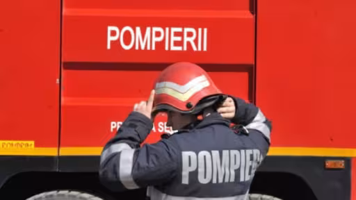 pom.jpg