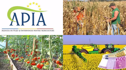apia-cereri-subventii-stat-2019-martie.jpg