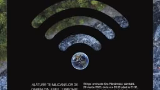 afis.jpg