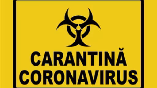 cara.jpg