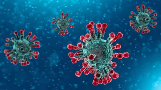 coronavirus-2.jpg