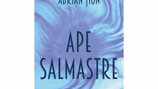 ape-salmastre-adrian-tion-26120808.jpg