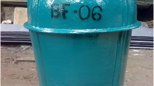 fosa.jpg