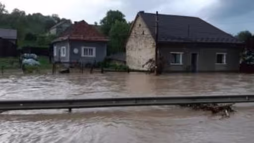 budac.jpg