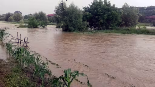 inundatii.jpg