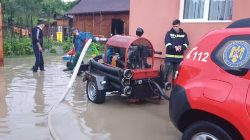 jelna1.jpg
