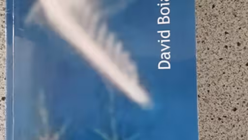 1072881033248567053420298936346457998001069n.jpg